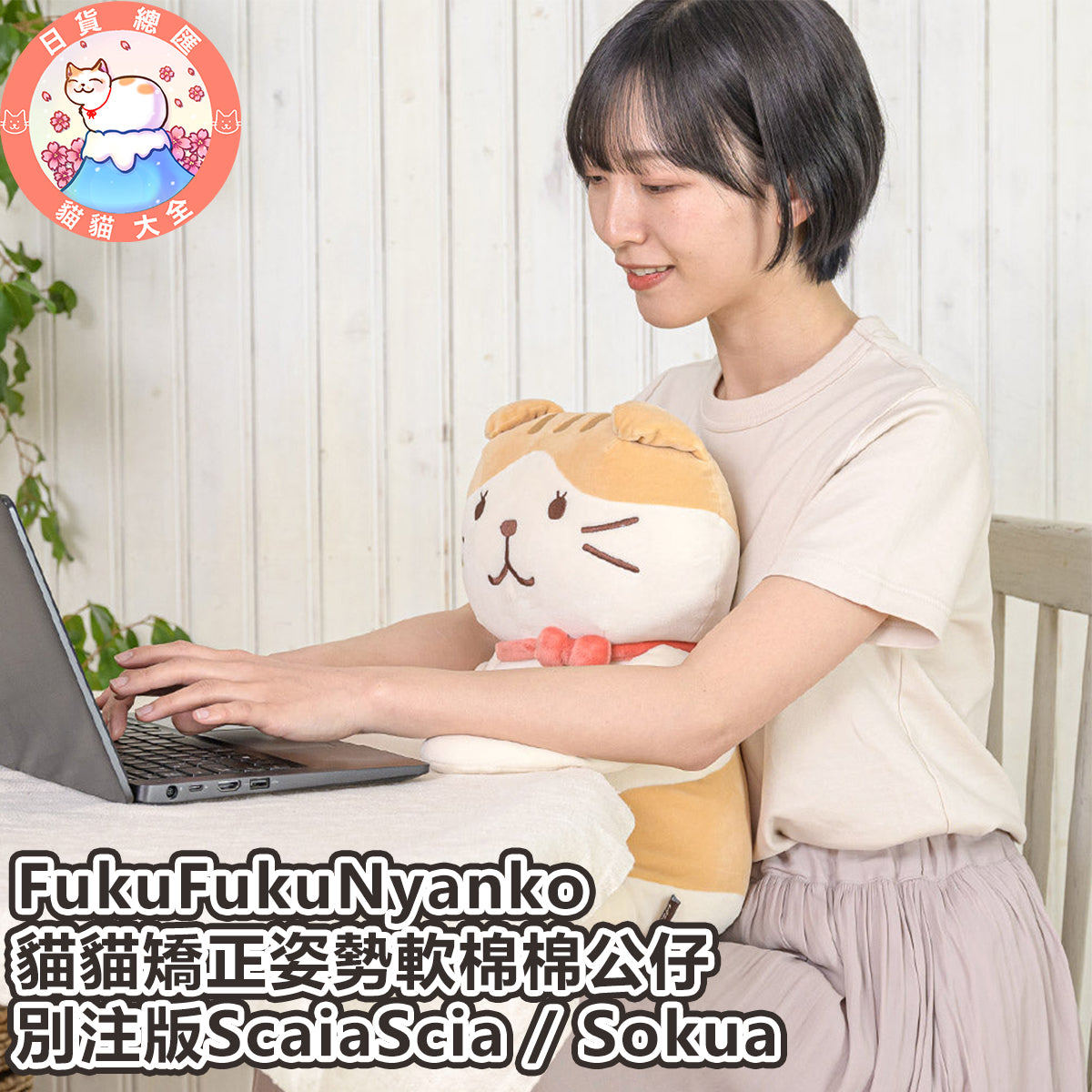 預購 | FukuFukuNyanko 貓貓矯正姿勢軟棉棉公仔|別注版ScaiaScia / Sokua