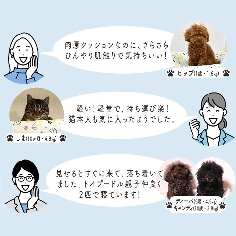 預購|猛暑對策|IRIS接觸冷感貓咪狗狗清涼安心睡床