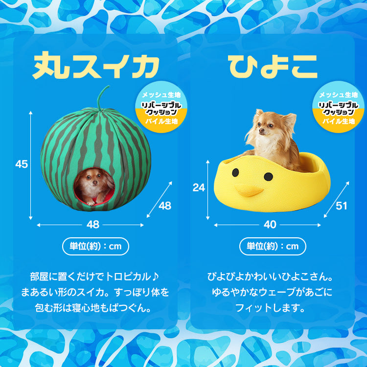 預購|日本 IRIS品牌得意趣緻接觸冷感小型竉物 安樂窩