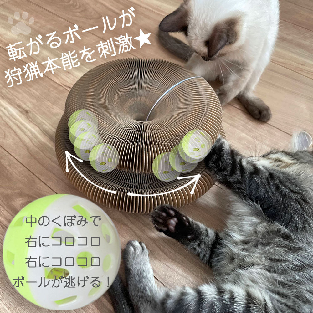 預購|快樂貓貓 UFO型貓抓玩具