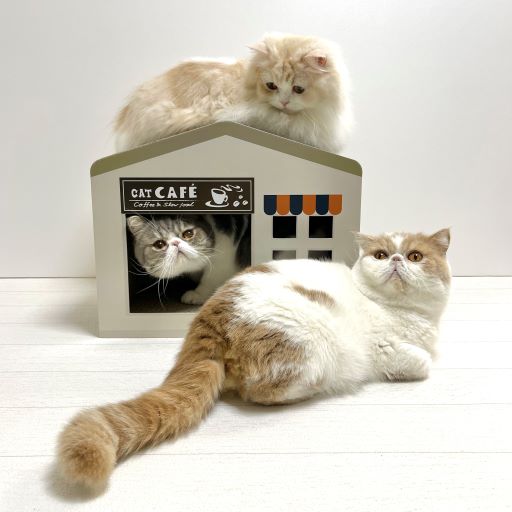 預購|貓之CAFE 豪華貓屋連貓抓板