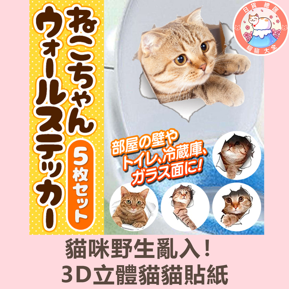 預購|貓咪野生亂入!3D立體貓貓貼紙