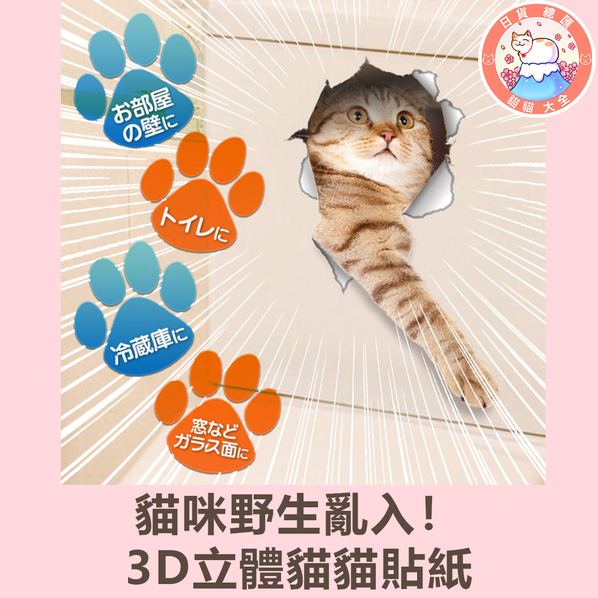 預購|貓咪野生亂入!3D立體貓貓貼紙
