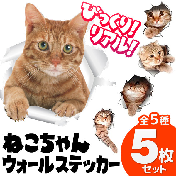 預購|貓咪野生亂入!3D立體貓貓貼紙