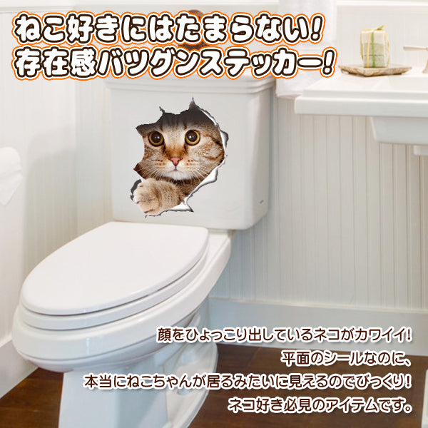 預購|貓咪野生亂入!3D立體貓貓貼紙