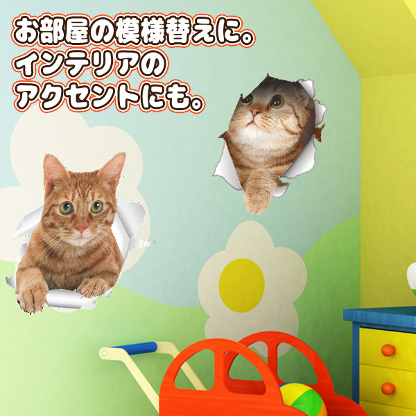 預購|貓咪野生亂入!3D立體貓貓貼紙