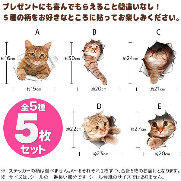 預購|貓咪野生亂入!3D立體貓貓貼紙