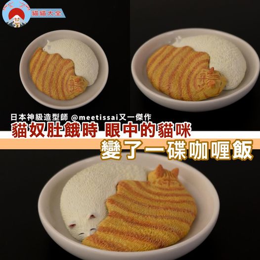 貓咪咖哩飯