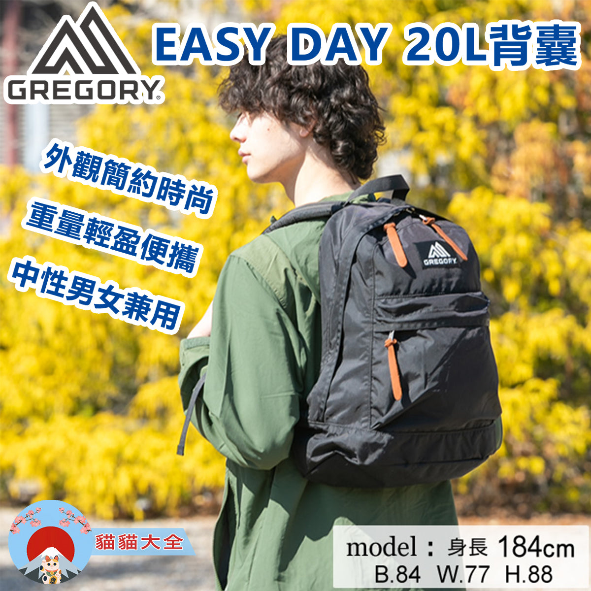 Gregory easy 2024 day backpack